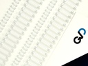 BINDIN™ WIRE ELEMENTS | WHITE | 2:1 PITCH | 21 LOOPS