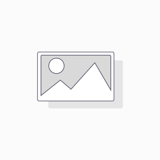 INK PAD FOR GRAPHIC WHIZARD - BLACK