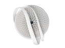 FASTIN™ LOOP COINS (WHITE)